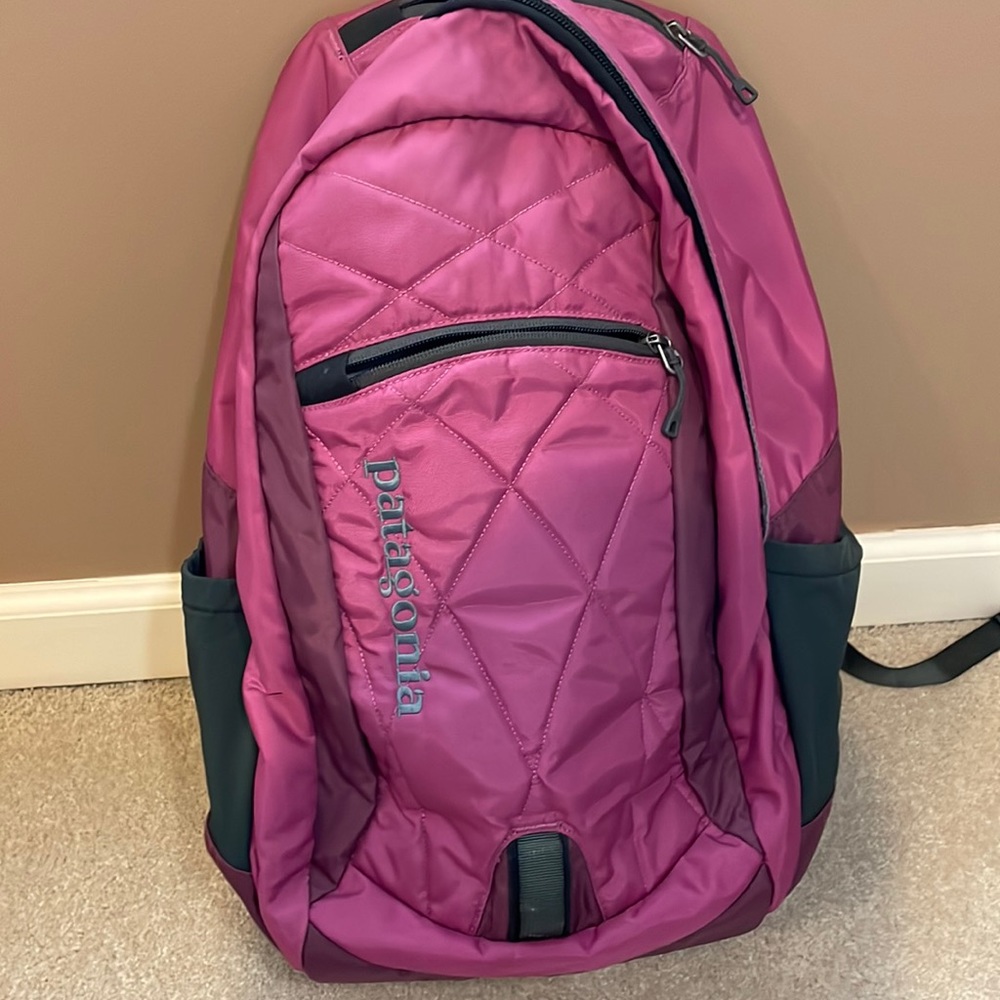 Patagonia Violeta 25 backpack